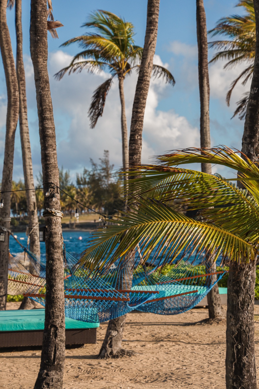 Beach with palm trees and hammocks