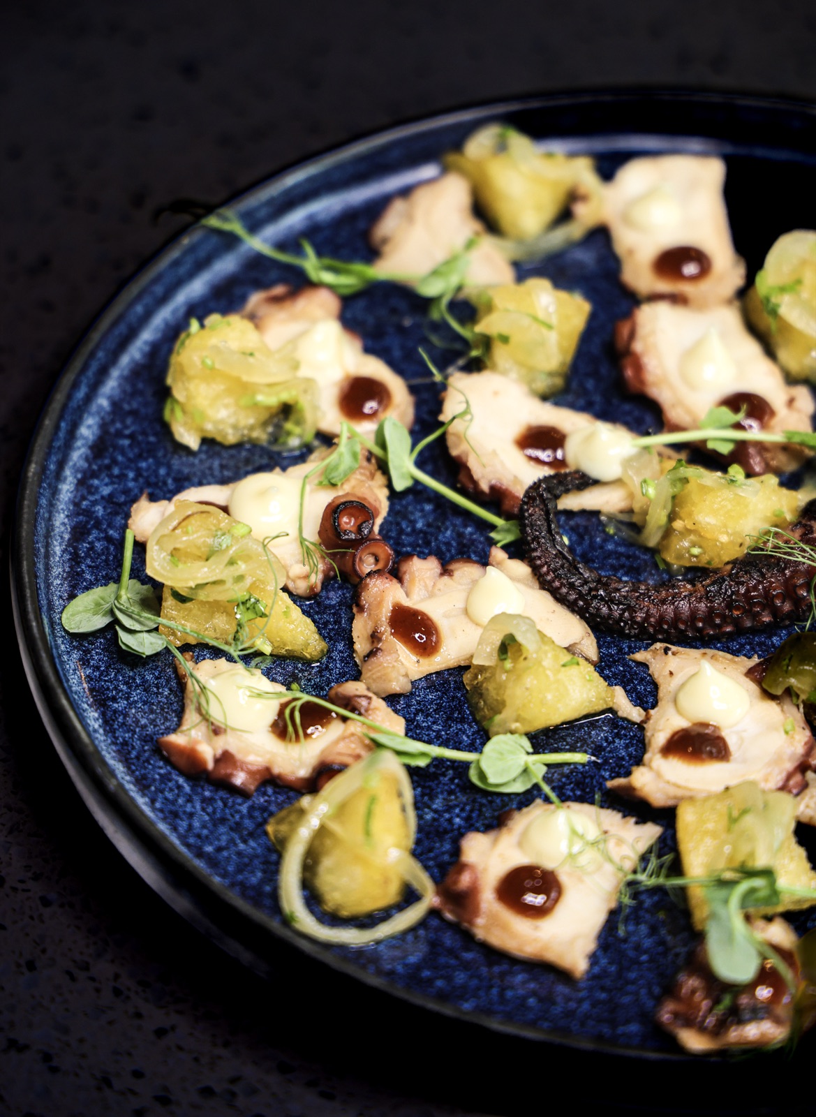 Grilled octopus, fine dining plate
